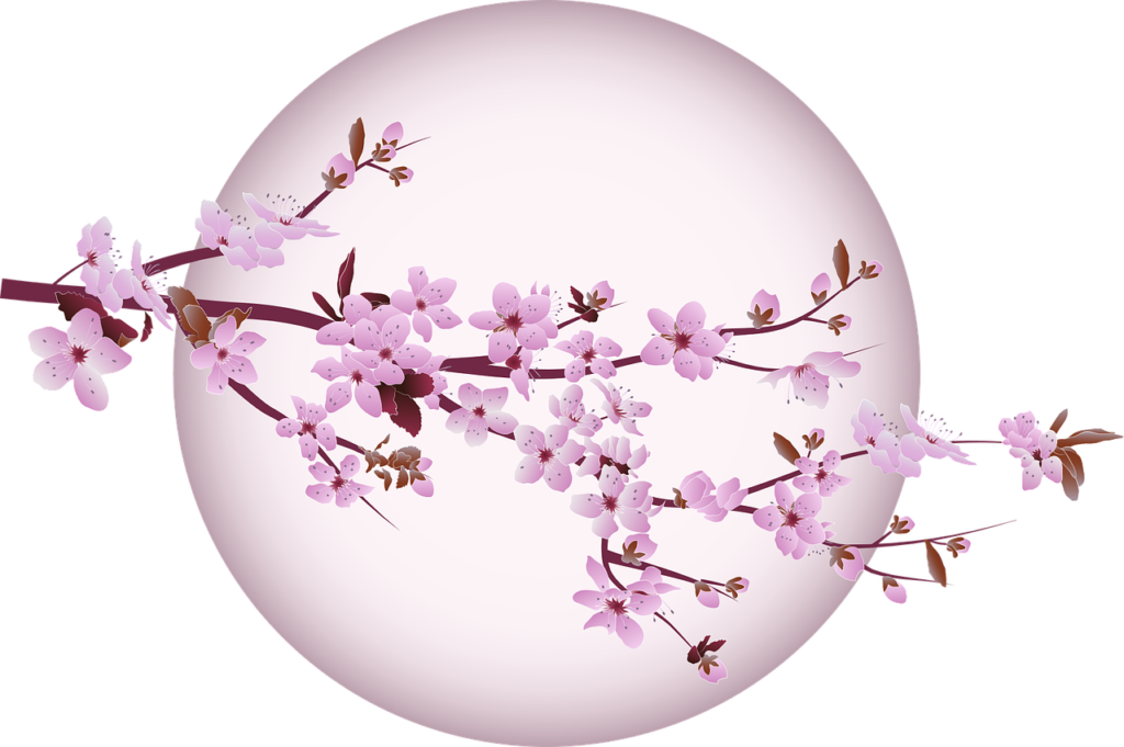 cherry blossom, cherry, tree-5439750.jpg